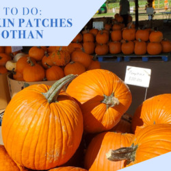 Pumpkin Patches Near Dothan